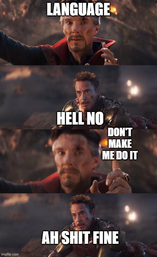 LANGUAGE HELL NO DON'T MAKE ME DO IT AH SHIT FINE | image tagged in avengers doctor strange iron man | made w/ Imgflip meme maker