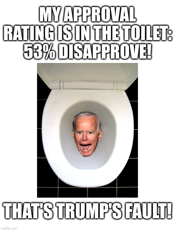 That's Trump's Fault! | image tagged in clueless,joe biden,approval,toilet,must be,trump's fault | made w/ Imgflip meme maker