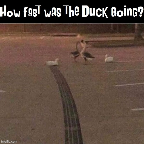 Faster than the Speed of Quack! | image tagged in vince vance,ducks,quack,memes,tread,marks | made w/ Imgflip meme maker