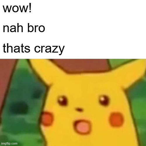 wow! nah bro thats crazy | image tagged in memes,surprised pikachu | made w/ Imgflip meme maker