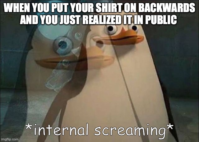 its true | WHEN YOU PUT YOUR SHIRT ON BACKWARDS AND YOU JUST REALIZED IT IN PUBLIC | image tagged in private internal screaming | made w/ Imgflip meme maker