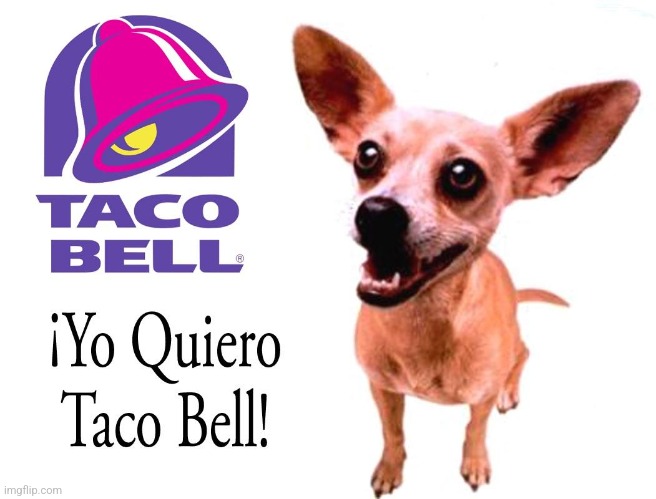 Taco Bell Dog | image tagged in taco bell dog | made w/ Imgflip meme maker