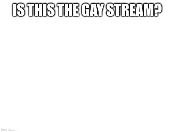 mod note: yes it is | IS THIS THE GAY STREAM? | made w/ Imgflip meme maker