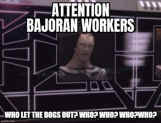 Star Trek Deep Space Nine Gul Dukat Attention Bajoran workers | WHO LET THE DOGS OUT? WHO? WHO? WHO?WHO? | image tagged in star trek deep space nine gul dukat attention bajoran workers | made w/ Imgflip meme maker