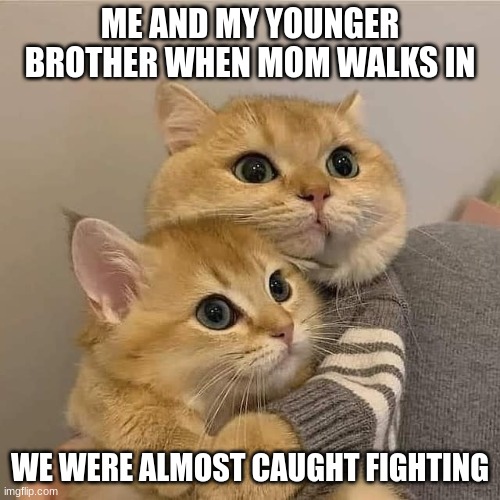 hugging cats | ME AND MY YOUNGER BROTHER WHEN MOM WALKS IN; WE WERE ALMOST CAUGHT FIGHTING | image tagged in hugging cats | made w/ Imgflip meme maker