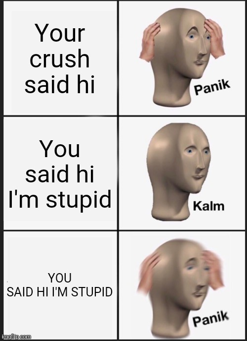 Your talking to your crush | Your crush said hi; You said hi I'm stupid; YOU SAID HI I'M STUPID | image tagged in memes,panik kalm panik | made w/ Imgflip meme maker