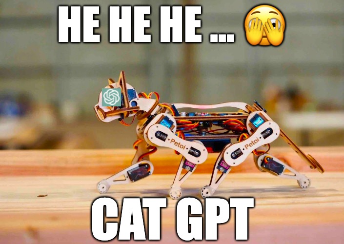 Mrow, I cannot assist you with that request | HE HE HE ... 🫣; CAT GPT | image tagged in gpt,chatgpt,cat,robot,robots,ai | made w/ Imgflip meme maker