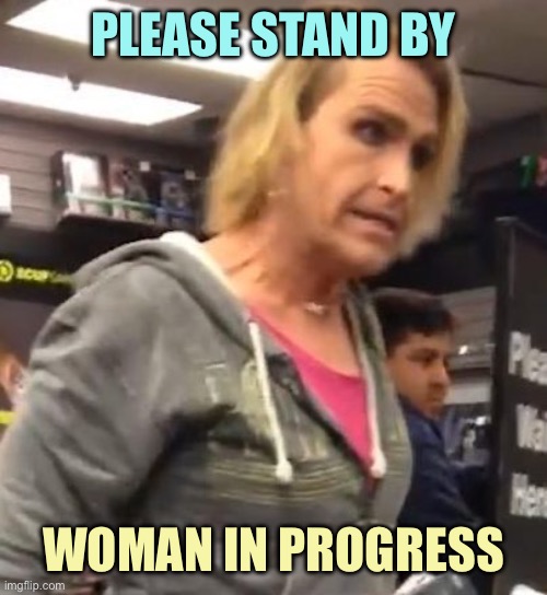 It's ma"am | PLEASE STAND BY WOMAN IN PROGRESS | image tagged in it's ma am | made w/ Imgflip meme maker