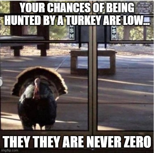 He Gone Get You | YOUR CHANCES OF BEING HUNTED BY A TURKEY ARE LOW... THEY THEY ARE NEVER ZERO | image tagged in turkey | made w/ Imgflip meme maker
