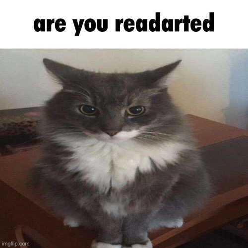 Are you | made w/ Imgflip meme maker
