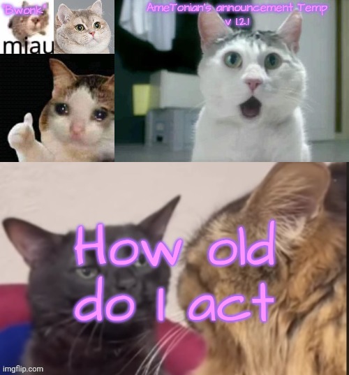 AmeTonian's announcement Temp v 1.2.1 | How old do I act | image tagged in ametonian's announcement temp v 1 2 1 | made w/ Imgflip meme maker
