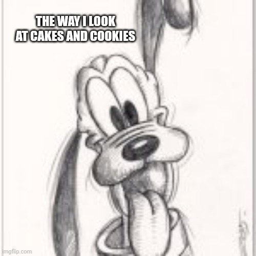 goofy dog | THE WAY I LOOK AT CAKES AND COOKIES | image tagged in goofy dog | made w/ Imgflip meme maker