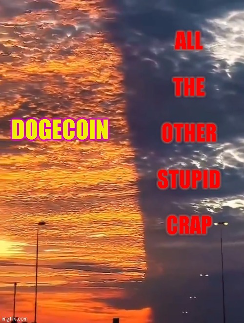 dogecoin | ALL
 
THE
 
OTHER
 
STUPID
 
CRAP; DOGECOIN | image tagged in dogecoin,memes | made w/ Imgflip meme maker