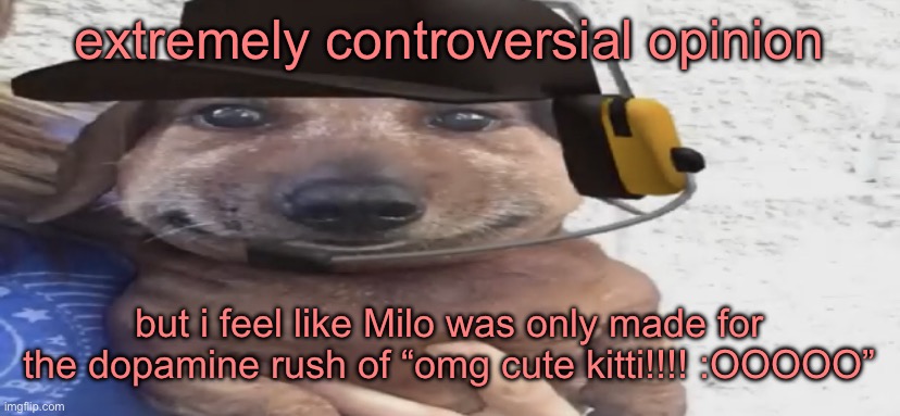 idk | extremely controversial opinion; but i feel like Milo was only made for the dopamine rush of “omg cute kitti!!!! :OOOOO” | image tagged in chucklenuts | made w/ Imgflip meme maker