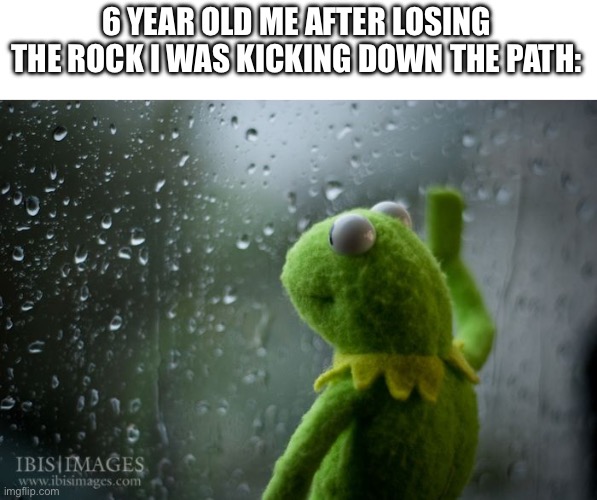 Sadness | 6 YEAR OLD ME AFTER LOSING THE ROCK I WAS KICKING DOWN THE PATH: | image tagged in kermit window | made w/ Imgflip meme maker