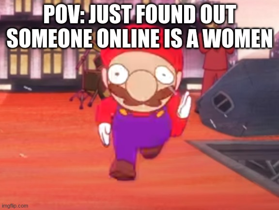 Mario POV | POV: JUST FOUND OUT SOMEONE ONLINE IS A WOMEN | image tagged in mario pov | made w/ Imgflip meme maker