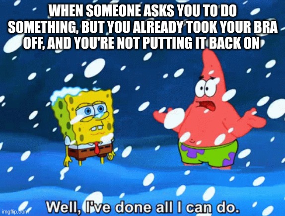 Well, I've done all I can do. | WHEN SOMEONE ASKS YOU TO DO SOMETHING, BUT YOU ALREADY TOOK YOUR BRA OFF, AND YOU'RE NOT PUTTING IT BACK ON | image tagged in well i've done all i can do | made w/ Imgflip meme maker