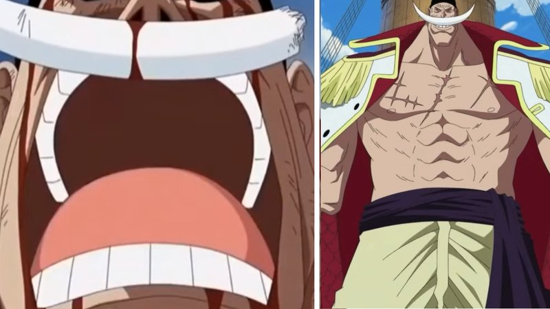 High Quality THE ONE PIECE IS REAL Blank Meme Template