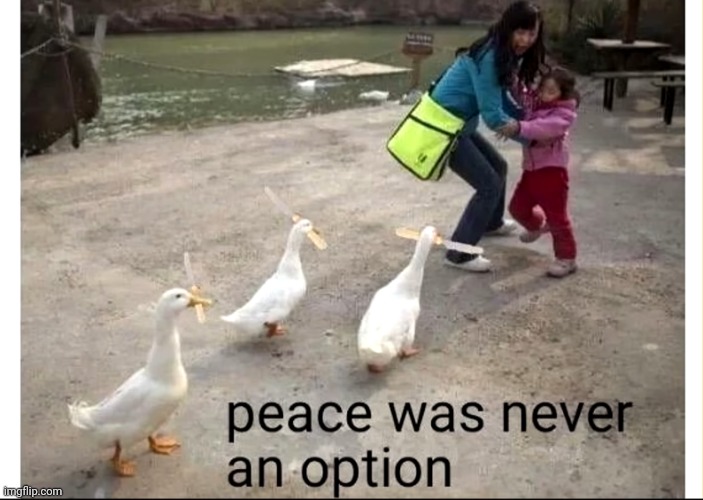 Oh | made w/ Imgflip meme maker
