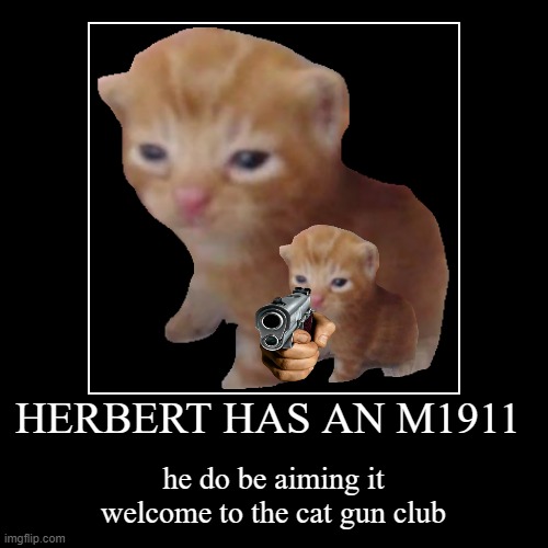 HERBERT HAS AN M1911 | he do be aiming it
welcome to the cat gun club | image tagged in funny,demotivationals | made w/ Imgflip demotivational maker
