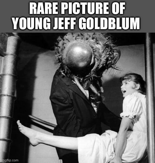 RARE PICTURE OF YOUNG JEFF GOLDBLUM | image tagged in jeff goldblum,fly | made w/ Imgflip meme maker