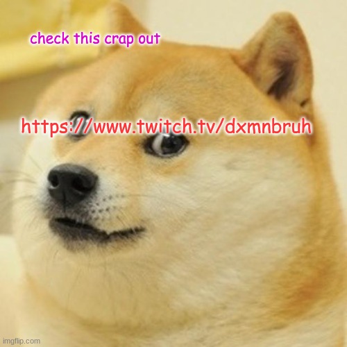 He's funny. | check this crap out; https://www.twitch.tv/dxmnbruh | image tagged in memes,doge | made w/ Imgflip meme maker
