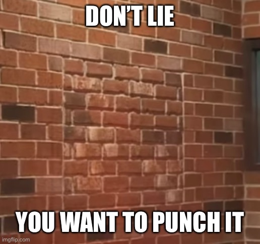 DON’T LIE; YOU WANT TO PUNCH IT | image tagged in wal,wall | made w/ Imgflip meme maker