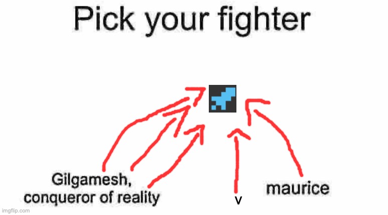 Its so clear dude... | v | image tagged in pick your fighter | made w/ Imgflip meme maker