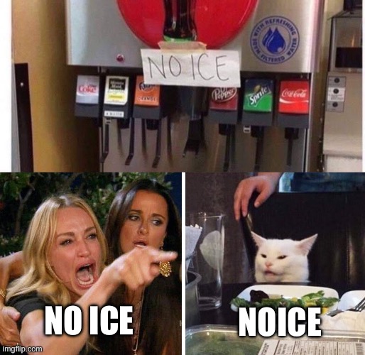 Noice | NO ICE; NOICE | image tagged in smudge the cat | made w/ Imgflip meme maker