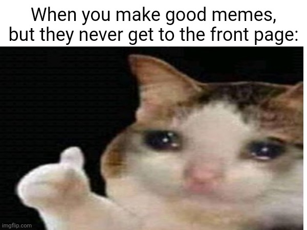Anyone relate? | When you make good memes, but they never get to the front page: | image tagged in yes,sad cat,whar | made w/ Imgflip meme maker