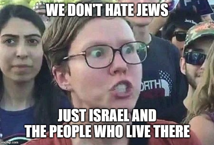 we're not antisemitic | WE DON'T HATE JEWS; JUST ISRAEL AND THE PEOPLE WHO LIVE THERE | image tagged in triggered liberal | made w/ Imgflip meme maker