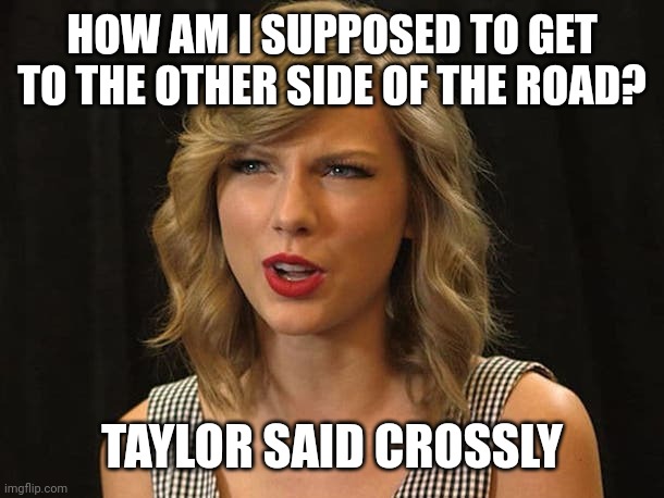 Taylor said crossly | HOW AM I SUPPOSED TO GET TO THE OTHER SIDE OF THE ROAD? TAYLOR SAID CROSSLY | image tagged in taylor swiftie | made w/ Imgflip meme maker