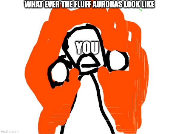 YOU WHAT EVER THE FLUFF AURORAS LOOK LIKE | made w/ Imgflip meme maker
