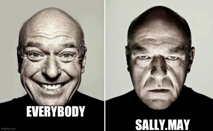 happy guy vs angry guy | EVERYBODY SALLY.MAY | image tagged in happy guy vs angry guy | made w/ Imgflip meme maker