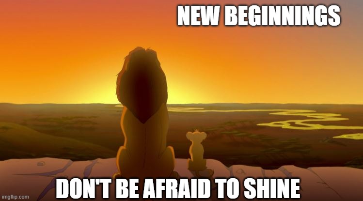 Leo's Life Lesson NB | NEW BEGINNINGS; DON'T BE AFRAID TO SHINE | image tagged in lions,life lessons,inspirational memes | made w/ Imgflip meme maker