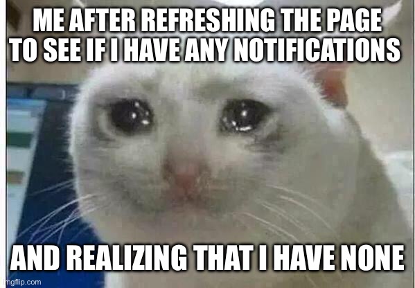 it really be like that sometimes | ME AFTER REFRESHING THE PAGE TO SEE IF I HAVE ANY NOTIFICATIONS; AND REALIZING THAT I HAVE NONE | image tagged in crying cat | made w/ Imgflip meme maker