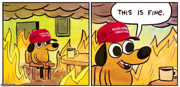The Worst of Times… circa 2018 | image tagged in memes,this is fine,donald trump,maga | made w/ Imgflip meme maker