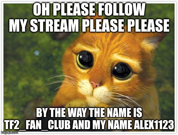 Please | OH PLEASE FOLLOW MY STREAM PLEASE PLEASE; BY THE WAY THE NAME IS TF2_FAN_CLUB AND MY NAME ALEX1123 | image tagged in memes,shrek cat | made w/ Imgflip meme maker