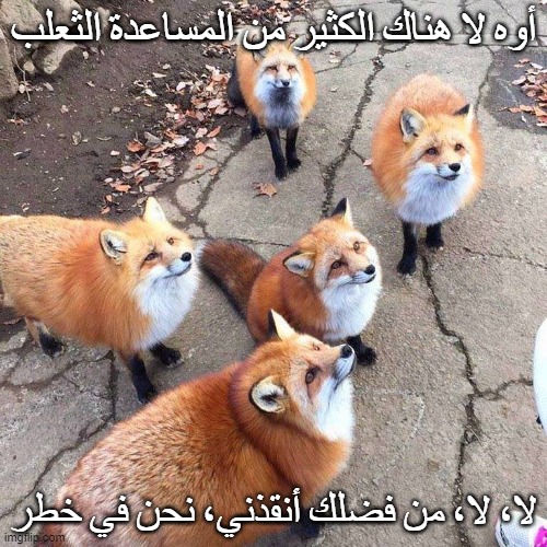 Fox Skulk | أوه لا هناك الكثير من المساعدة الثعلب; لا، لا، من فضلك أنقذني، نحن في خطر | image tagged in fox skulk | made w/ Imgflip meme maker