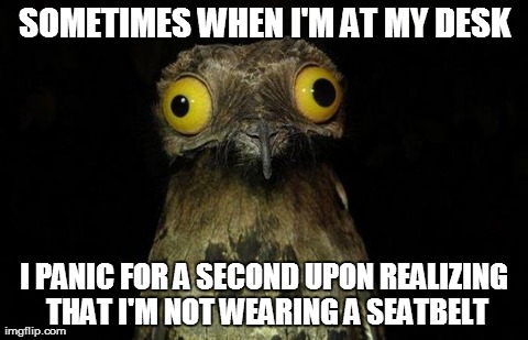 Weird Stuff I Do Potoo Meme | SOMETIMES WHEN I'M AT MY DESK I PANIC FOR A SECOND UPON REALIZING THAT I'M NOT WEARING A SEATBELT | image tagged in memes,weird stuff i do potoo,AdviceAnimals | made w/ Imgflip meme maker