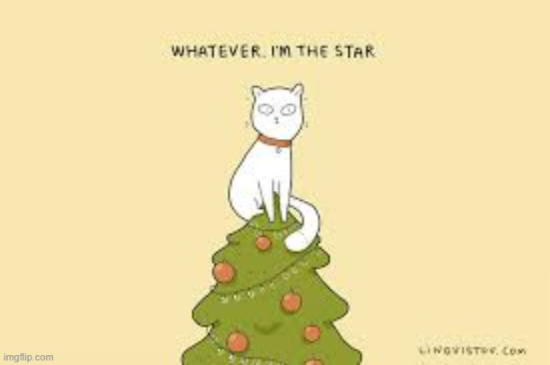 A Cat's Way Of Thinking | image tagged in memes,comics/cartoons,cats,top,christmas tree,star | made w/ Imgflip meme maker