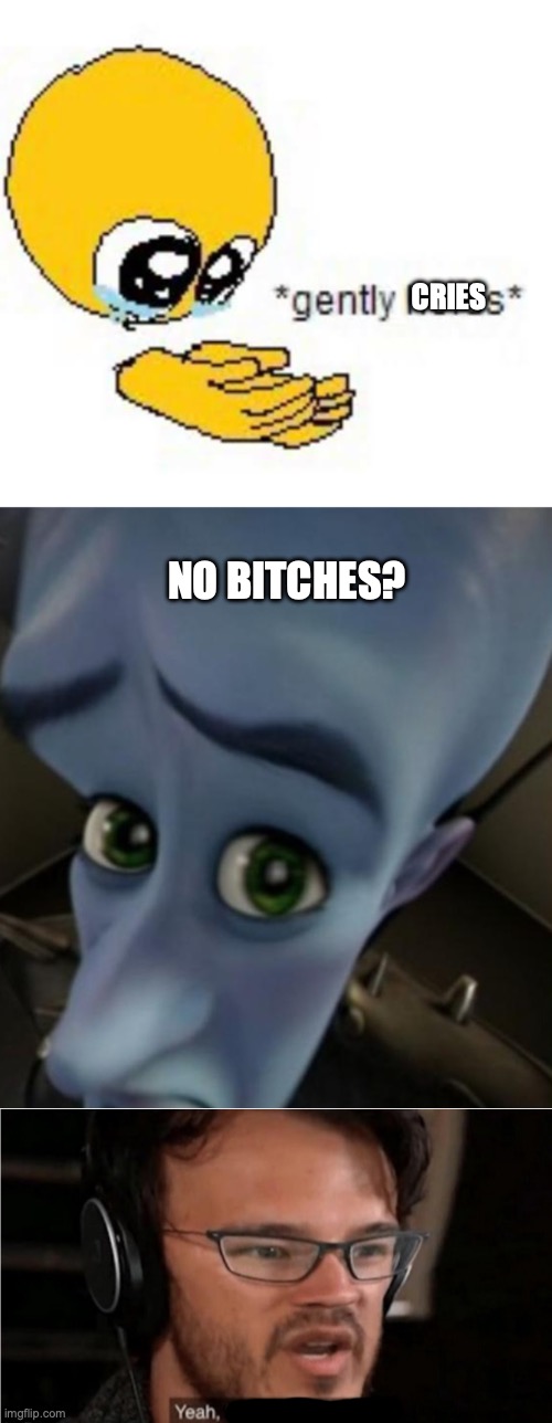 yeh | NO BITCHES? CRIES | image tagged in gently holds emoji,megamind no bitches,bruh | made w/ Imgflip meme maker