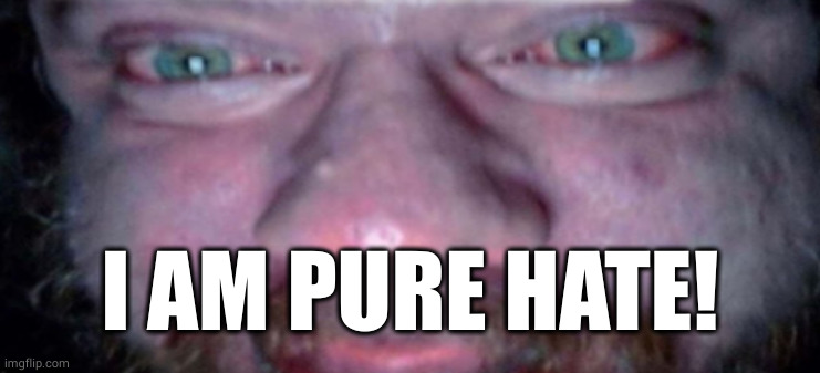 Pure Anger | I AM PURE HATE! | image tagged in pure anger | made w/ Imgflip meme maker