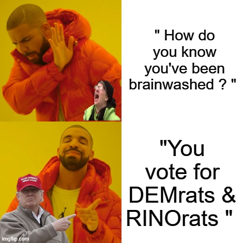 you can no longer deny what they are, the lefty luntic uniparty. | " How do you know you've been brainwashed ? "; "You vote for DEMrats & RINOrats " | image tagged in memes,democrats,republicans,nwo | made w/ Imgflip meme maker