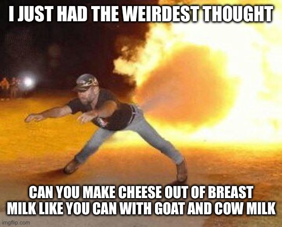 I’m being /srs | I JUST HAD THE WEIRDEST THOUGHT; CAN YOU MAKE CHEESE OUT OF BREAST MILK LIKE YOU CAN WITH GOAT AND COW MILK | image tagged in taco bell strikes again | made w/ Imgflip meme maker