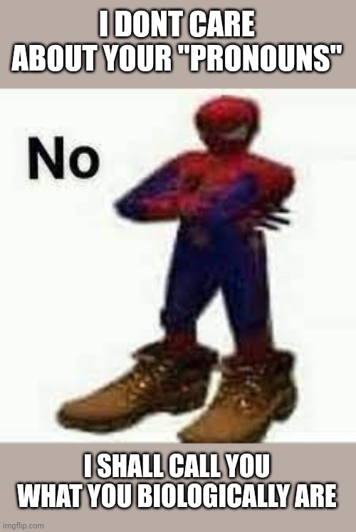 No spiderman | I DONT CARE ABOUT YOUR "PRONOUNS"; I SHALL CALL YOU WHAT YOU BIOLOGICALLY ARE | image tagged in no spiderman | made w/ Imgflip meme maker