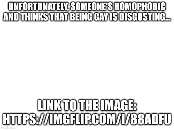 UNFORTUNATELY, SOMEONE'S HOMOPHOBIC AND THINKS THAT BEING GAY IS DISGUSTING... LINK TO THE IMAGE: HTTPS://IMGFLIP.COM/I/88ADFU | image tagged in homophobe,fresh memes,meh | made w/ Imgflip meme maker