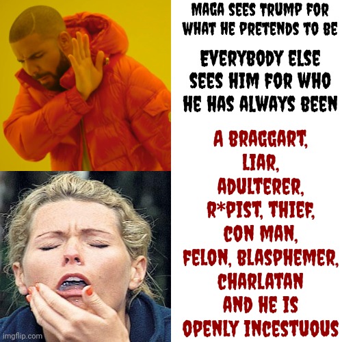 So Gross | Maga sees Trump for what he pretends to be; A braggart, liar, adulterer, r*pist, thief, con man, felon, blasphemer, charlatan and he is openly incestuous; Everybody else sees him for who he has always been | image tagged in memes,drake hotline bling,scumbag trump,scumbag maga,scumbag republicans,lock him up | made w/ Imgflip meme maker