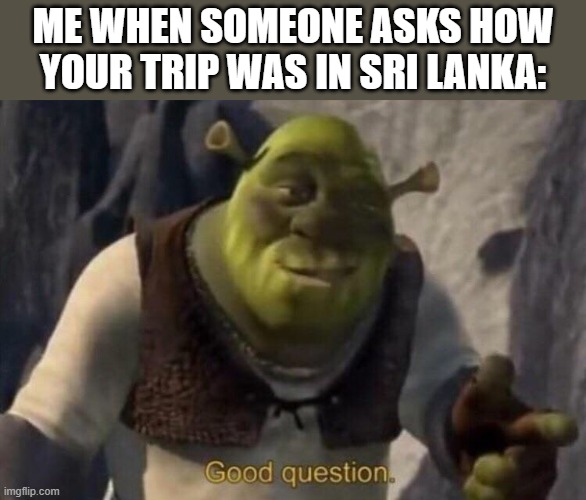 Shrek good question | ME WHEN SOMEONE ASKS HOW YOUR TRIP WAS IN SRI LANKA: | image tagged in shrek good question | made w/ Imgflip meme maker