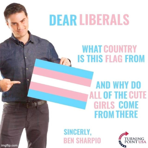 ben why | image tagged in dear liberals | made w/ Imgflip meme maker